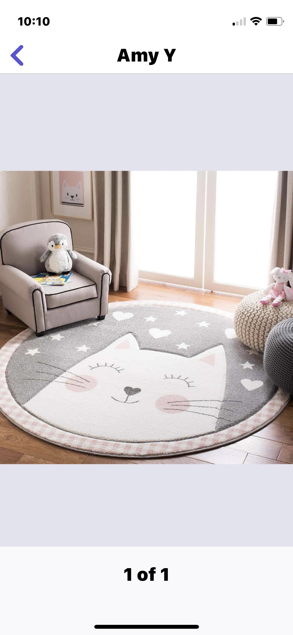 Round Rug with a Cat