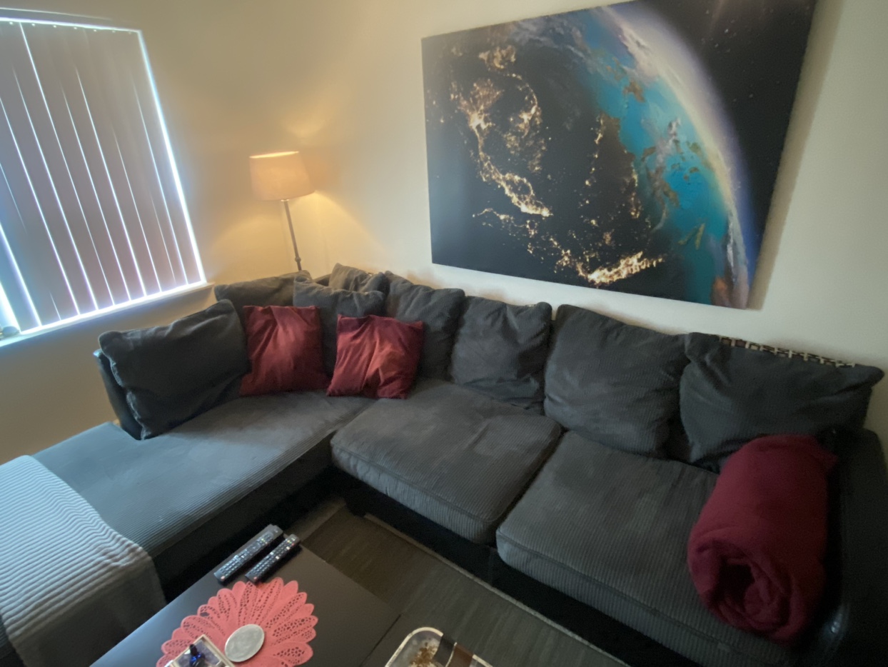 Grey Sectional Couch