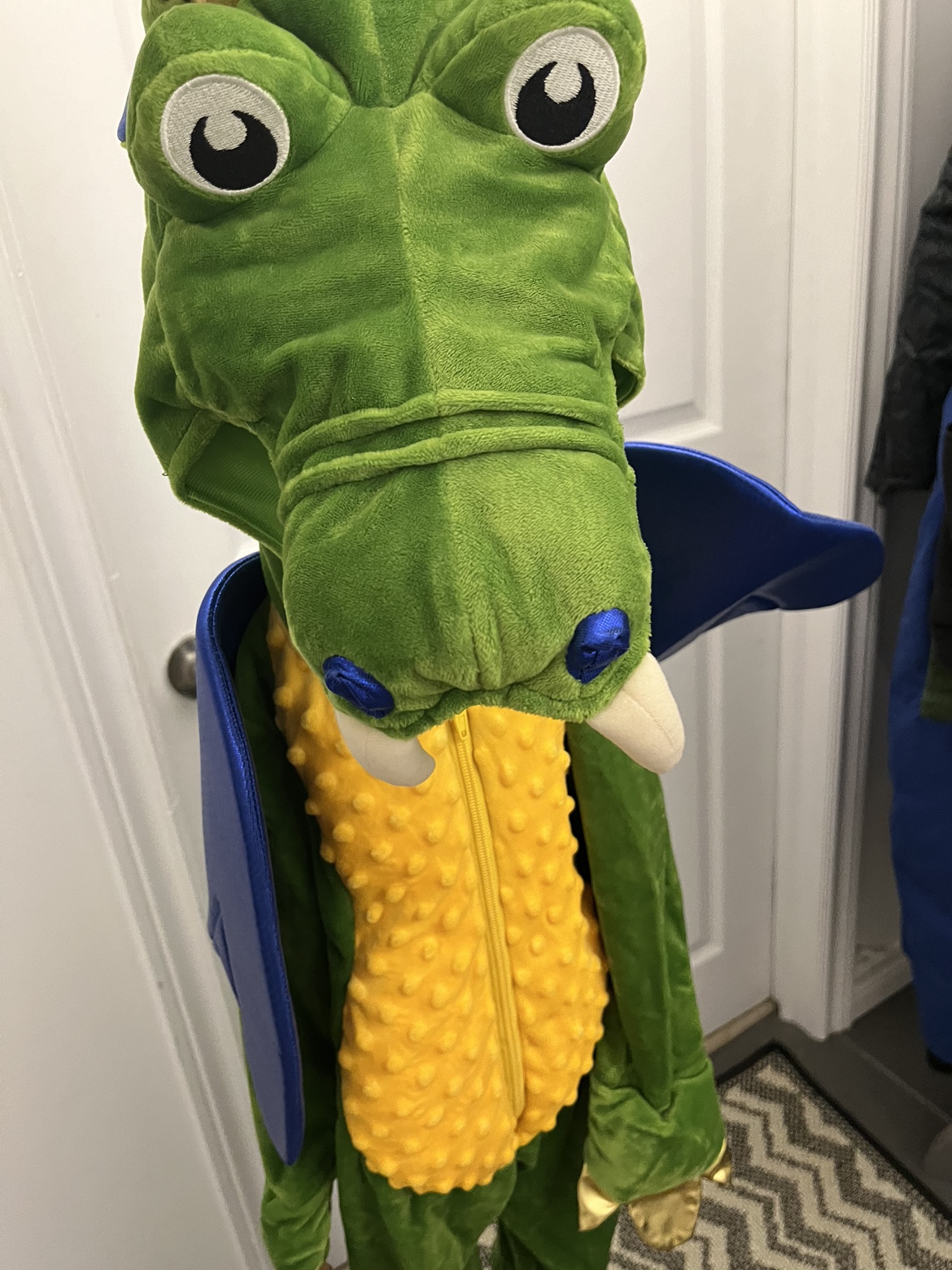 Dragon costume