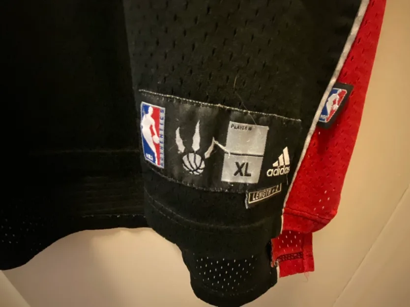 Toronto Raptors Jose Calderon Jersey image indicator(4)