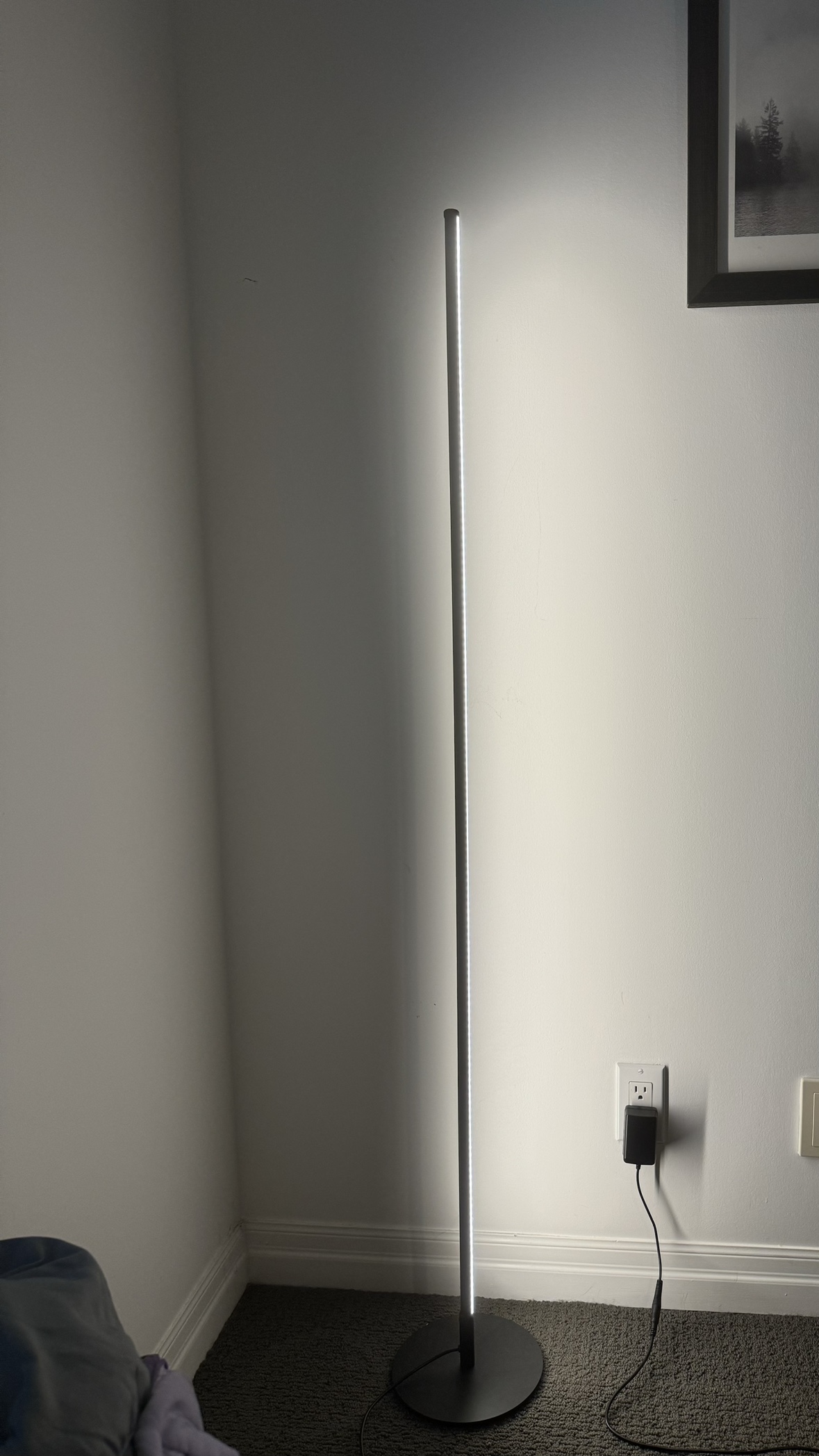 LED floor lamp