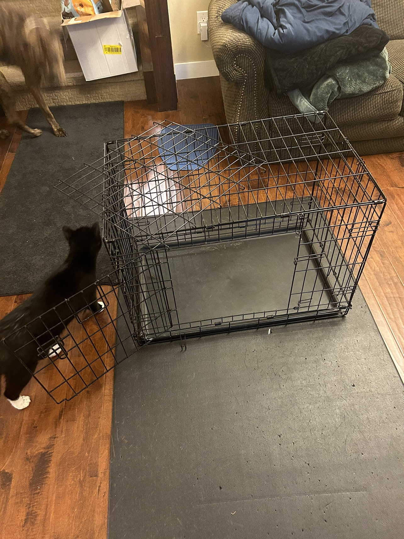 Dog Crate