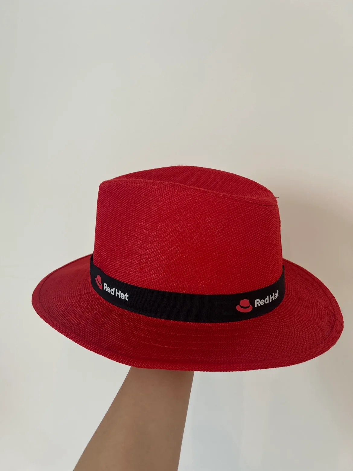 Red Hat Fedora thumbnail