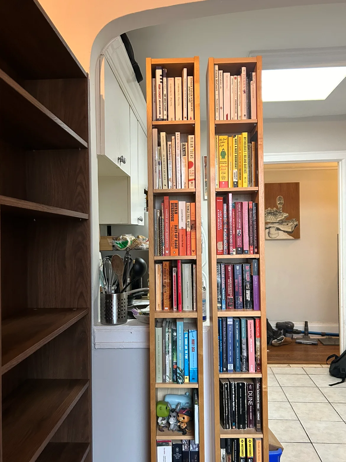 bookshelves thumbnail