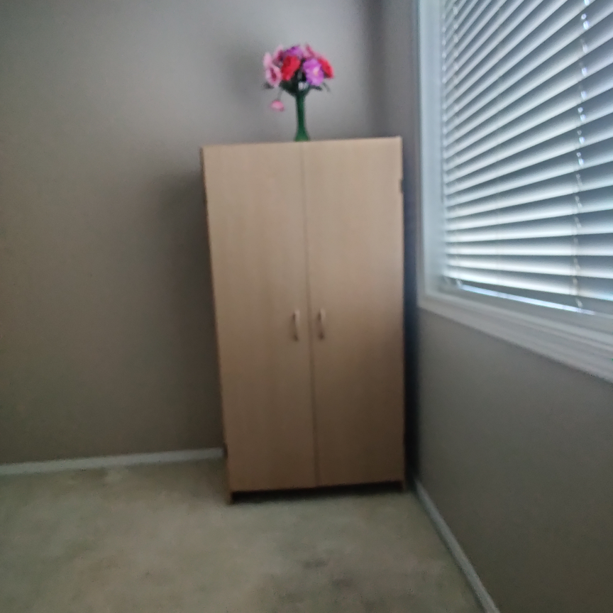 Tall Cabinet with Doors - photo 2