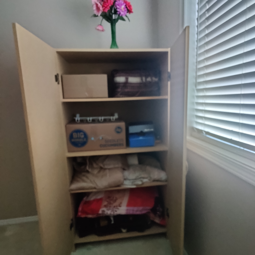 Tall Cabinet with Doors - photo 3