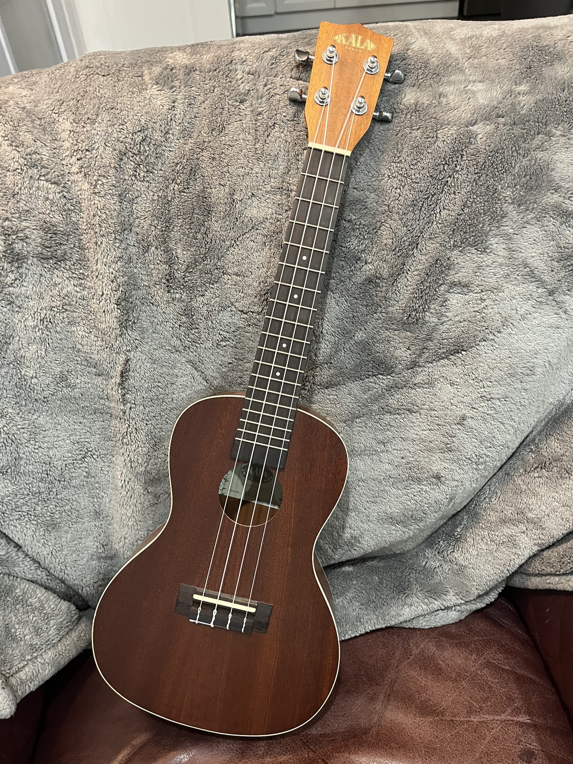 Kala Concert Ukulele with Levys Case and Capo - photo 3