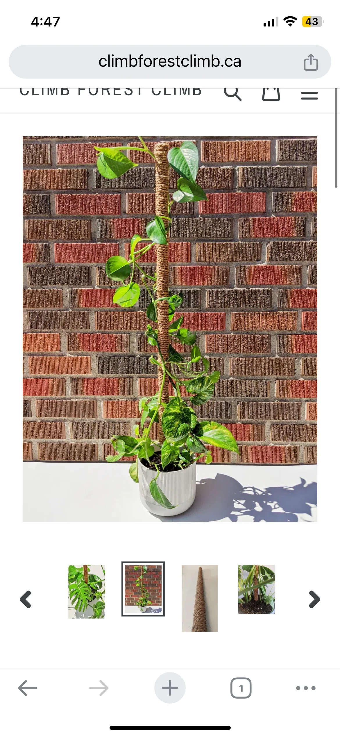 Plant Climbing Pole (BNIB) 🧡 thumbnail