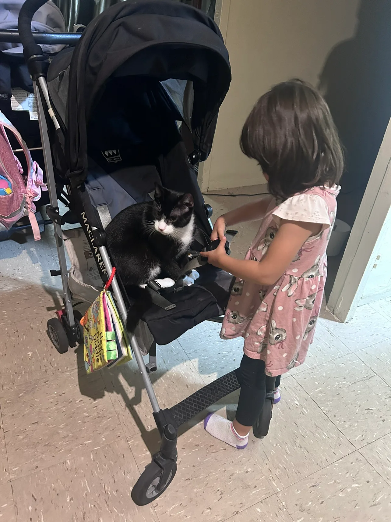 Stroller image indicator(4)