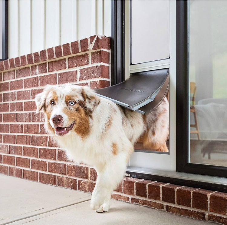 Pet Door for Large Dogs