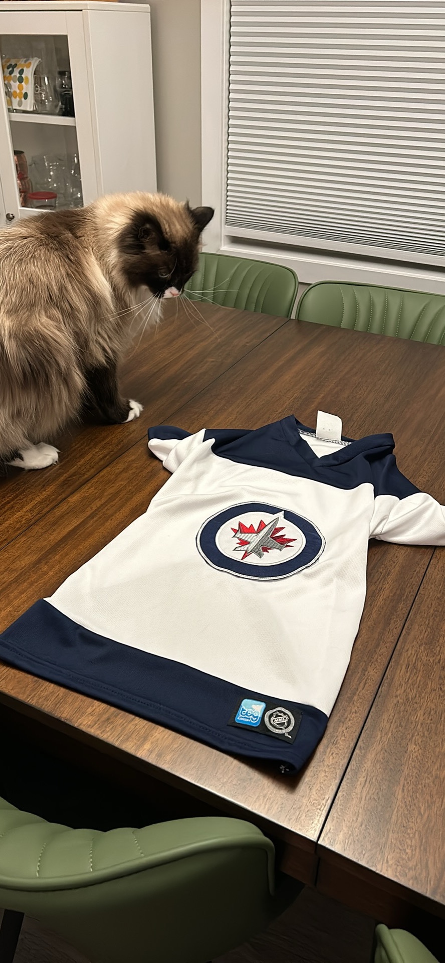 Dog Jets Sweater - photo 2
