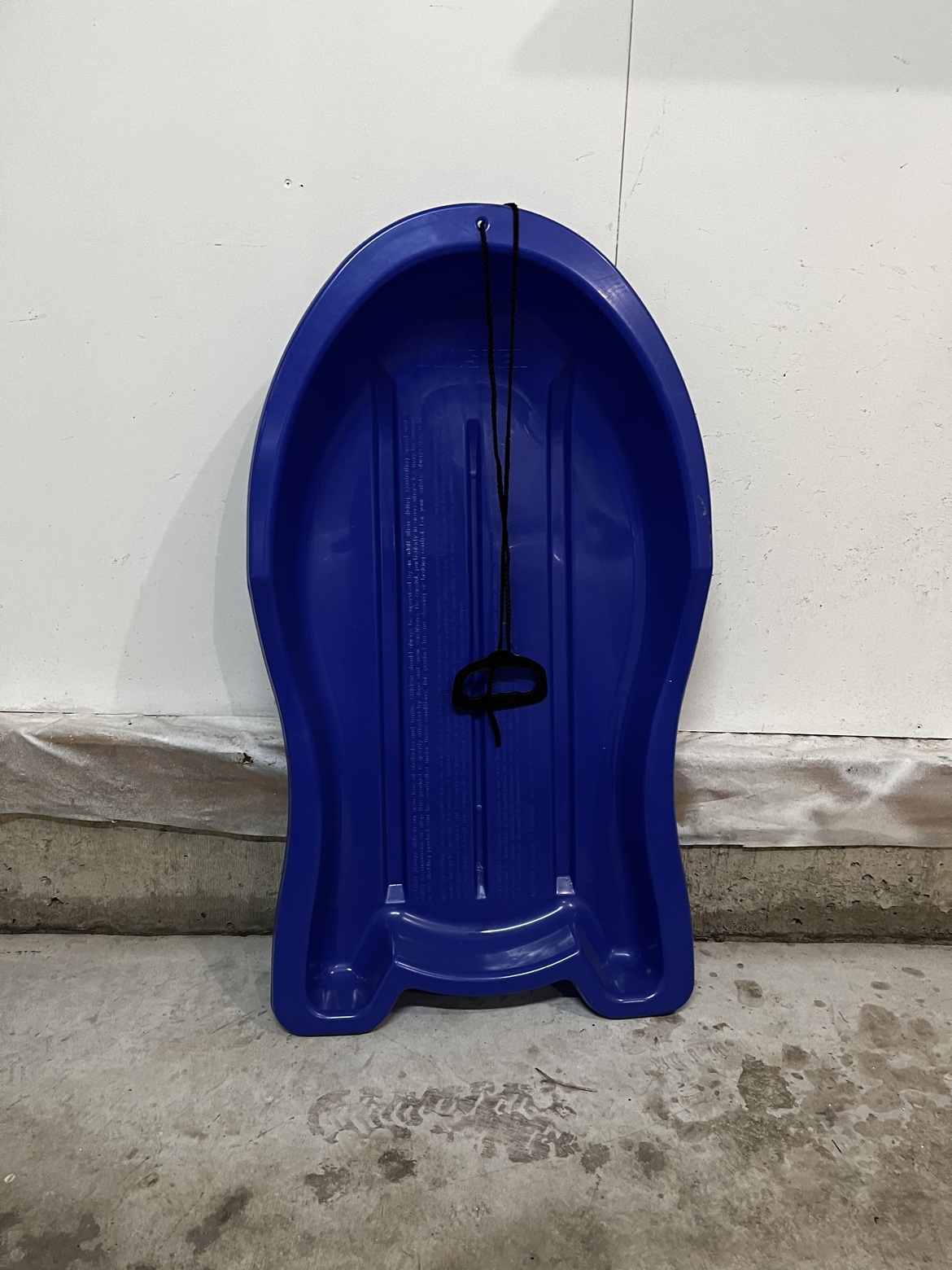 Blue Plastic Sled