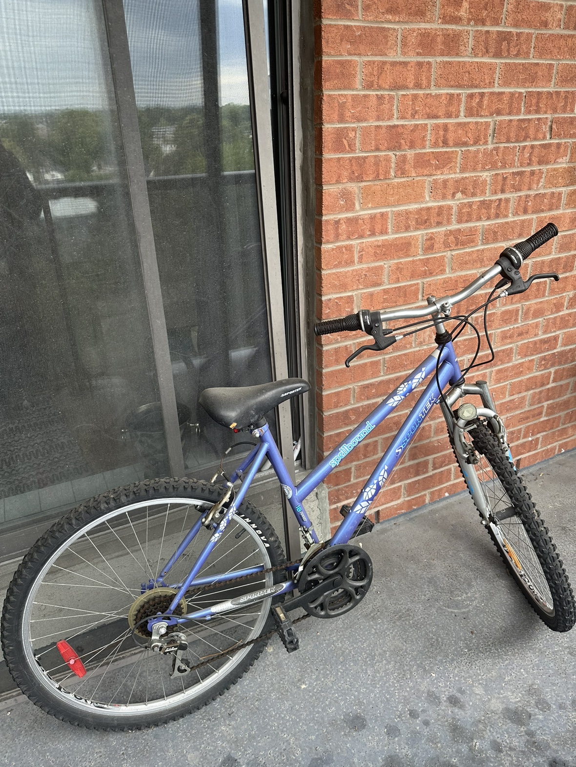 Spoilboard Sportrek Bike - Women’s or Teens