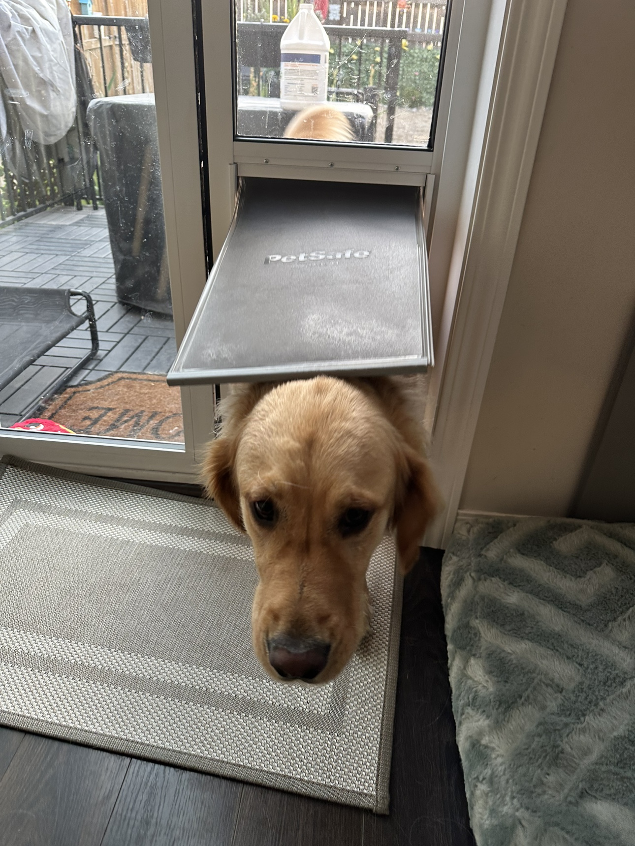PetSafe Pet Door for Sliding Glass Doors