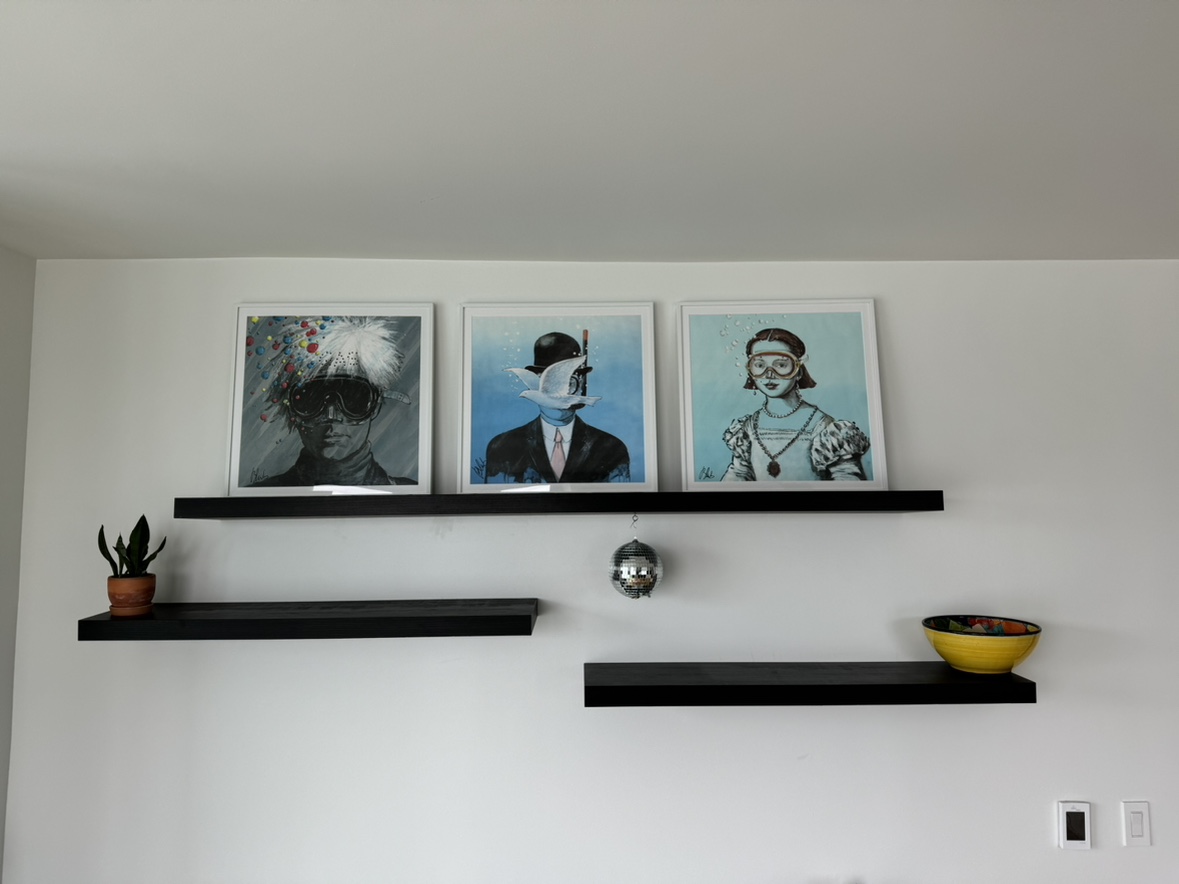 Floating Wall Shelves (3x)