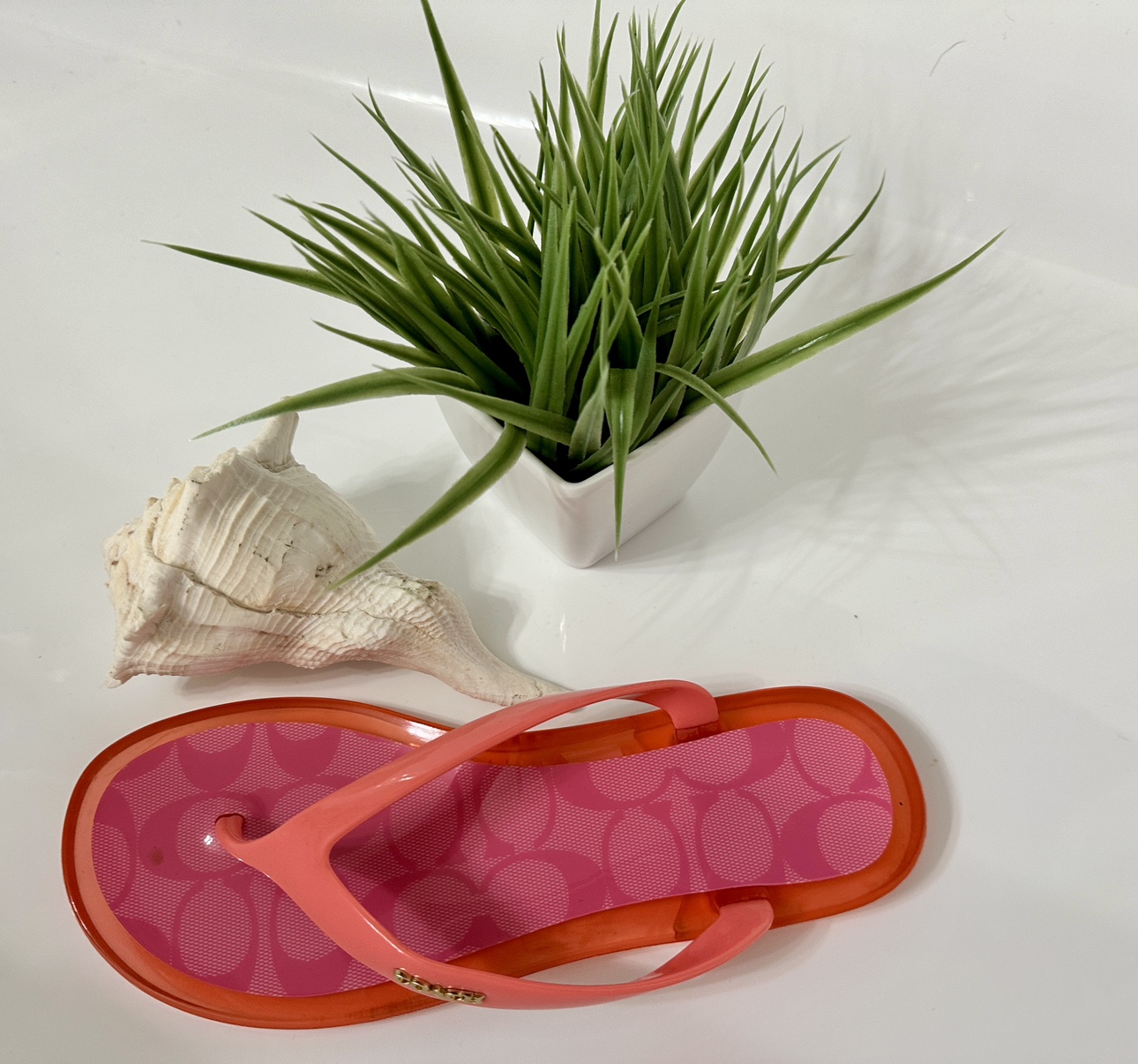 Coach Nisa Sandal - photo 5