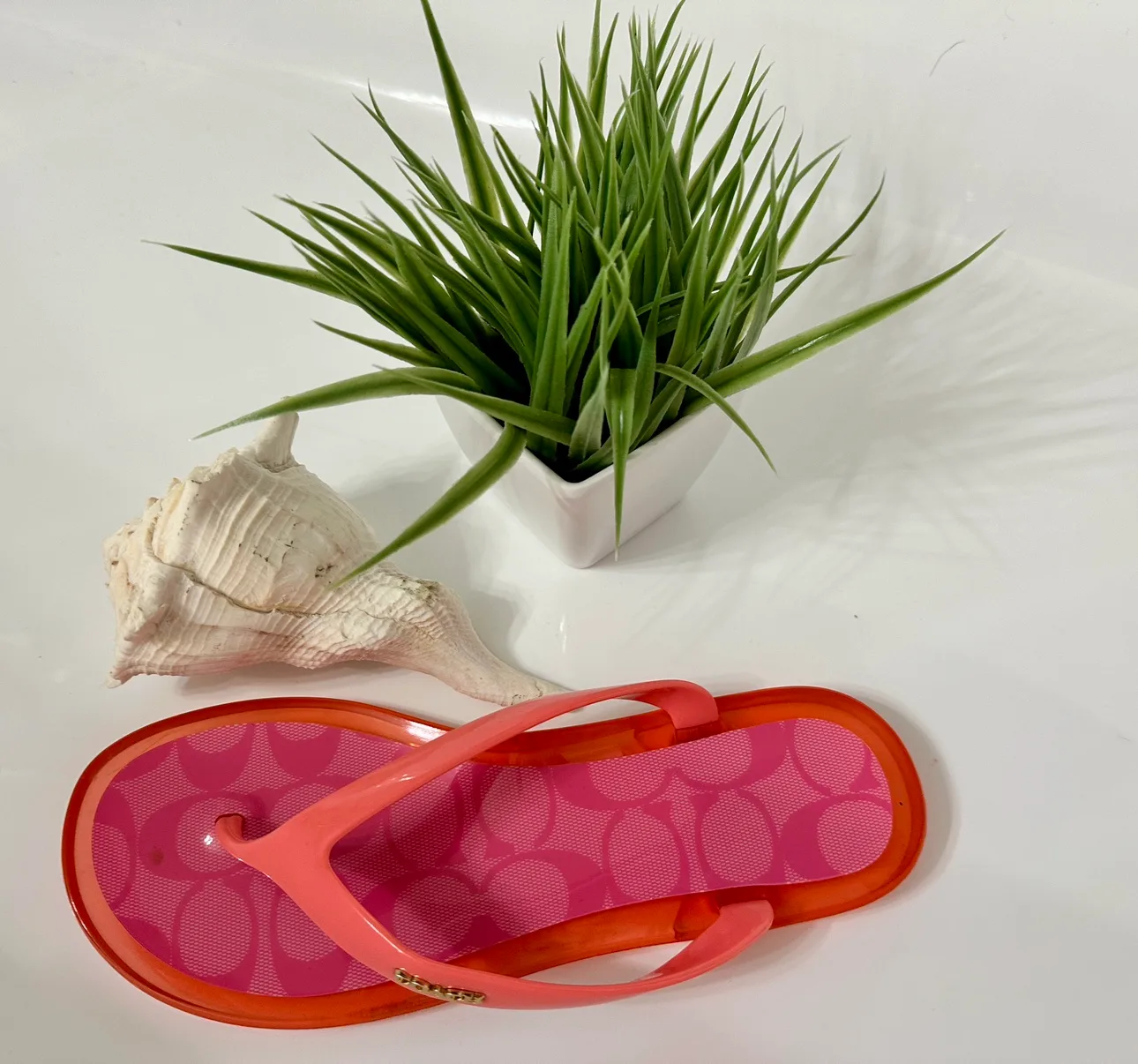 Coach Nisa Sandal image indicator(5)