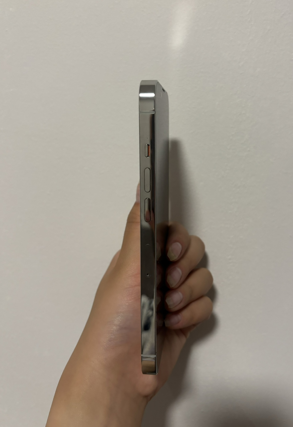 iPhone 13 Pro/Silver/256GB - photo 4