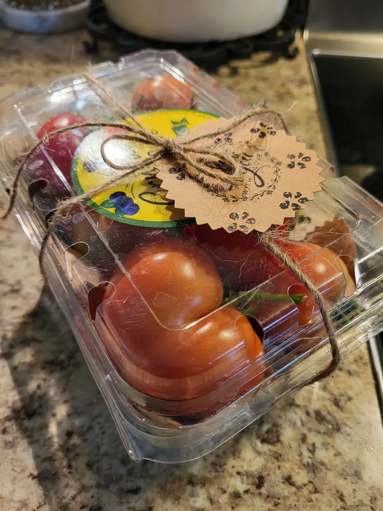 Garden Zucchini and Tomatoes | #freecycle thumbnail