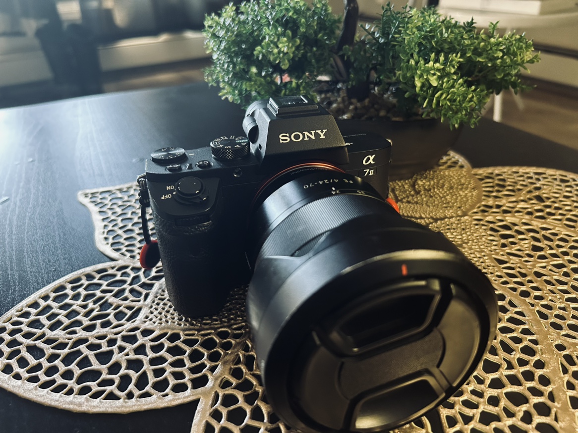 Sony mirrorless camera - photo 2