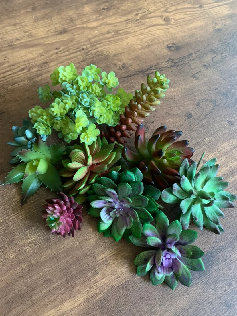 Artificial Succulents 🧡 thumbnail