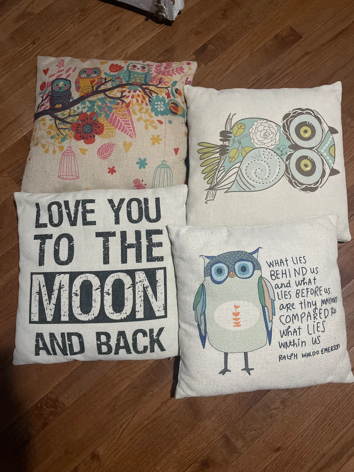 Set of Four Throw Pillows thumbnail