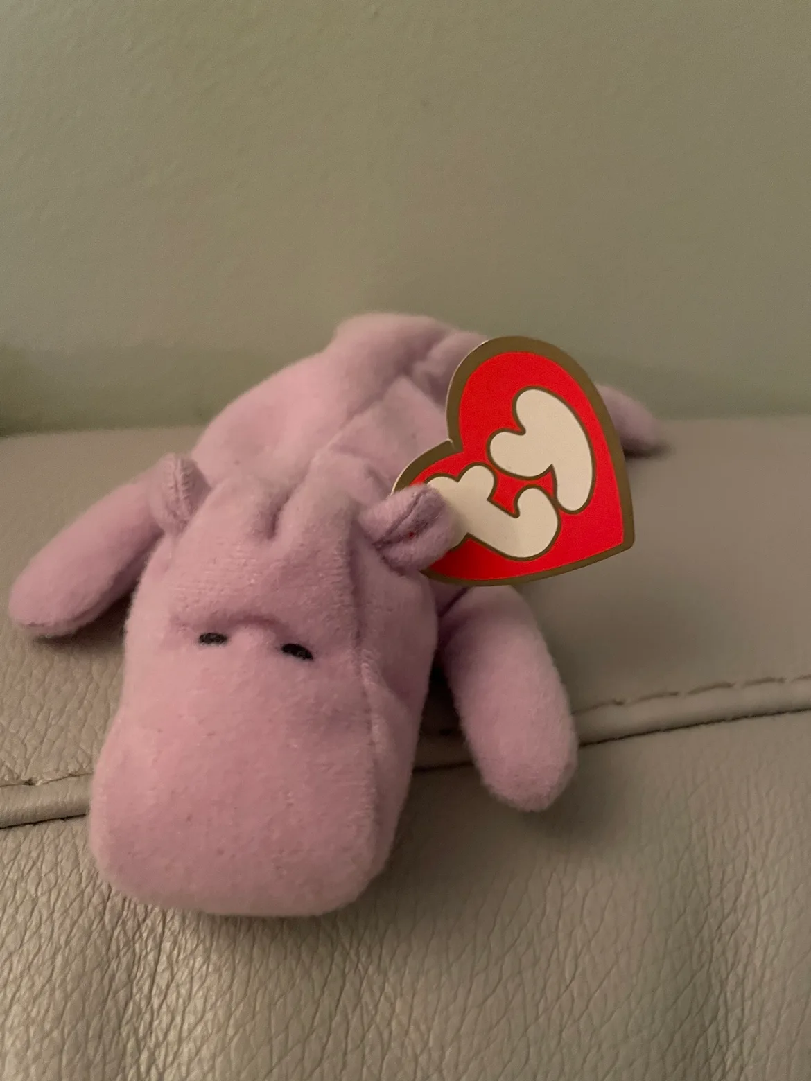 Family of Ty beanie babies image indicator(5)