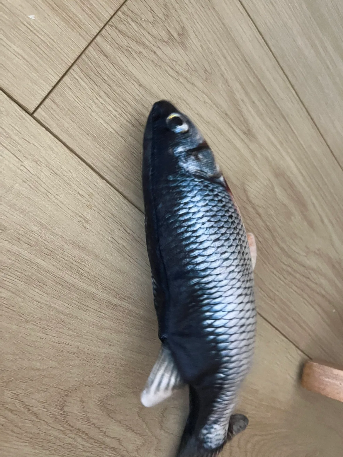 Robot Cat Toy Fish thumbnail