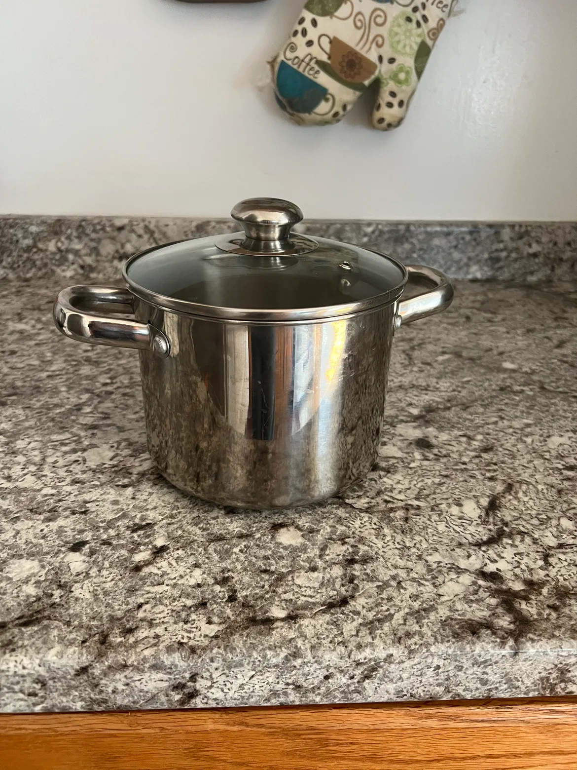 Stainless Steel Pot with Lid thumbnail
