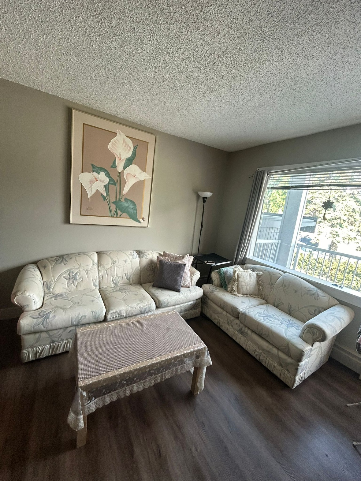 Couch and Coffee Table