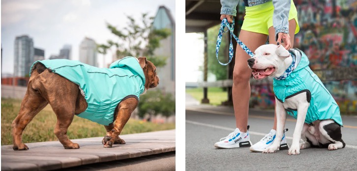 Dog Raincoat - Turquoise #freecycle - photo 2