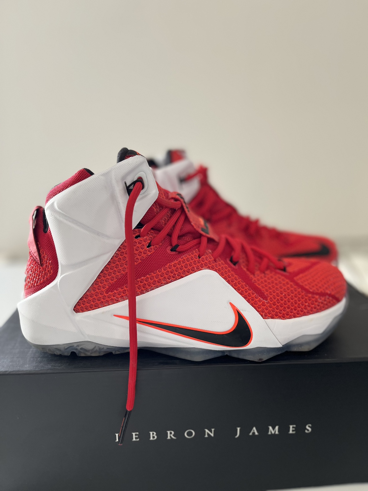 Nike lebron 12 heart of a lion