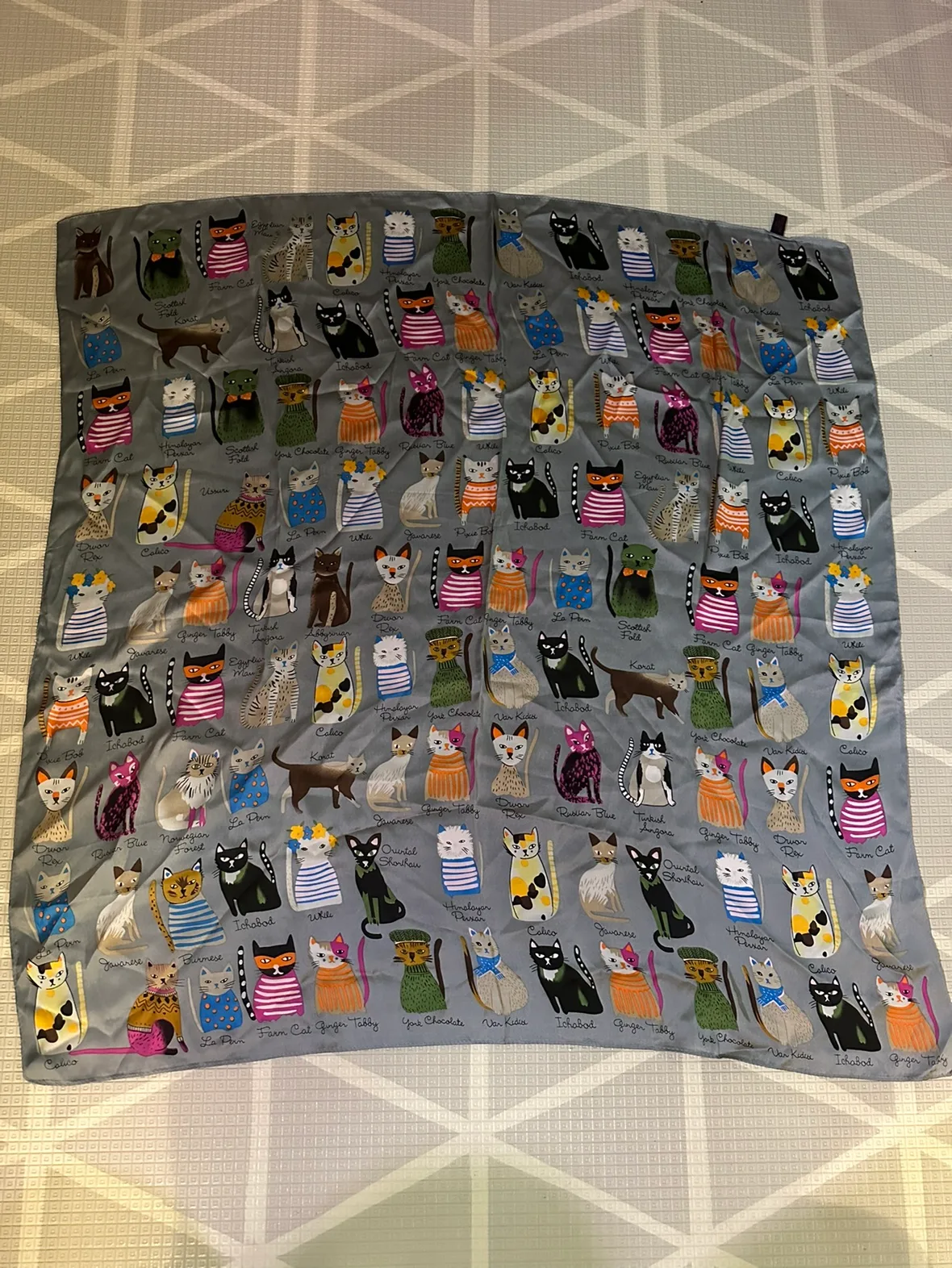 Cute satiny cat scarf thumbnail