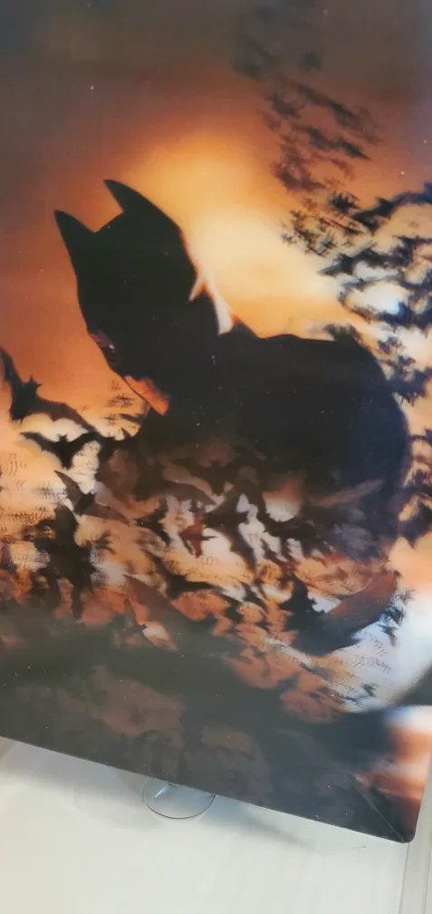 Batman Begins Limited Edition Giftset image indicator(4)