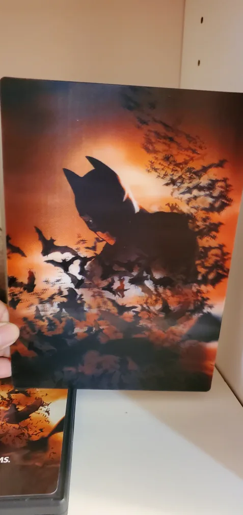 Batman Begins Limited Edition Giftset image indicator(5)