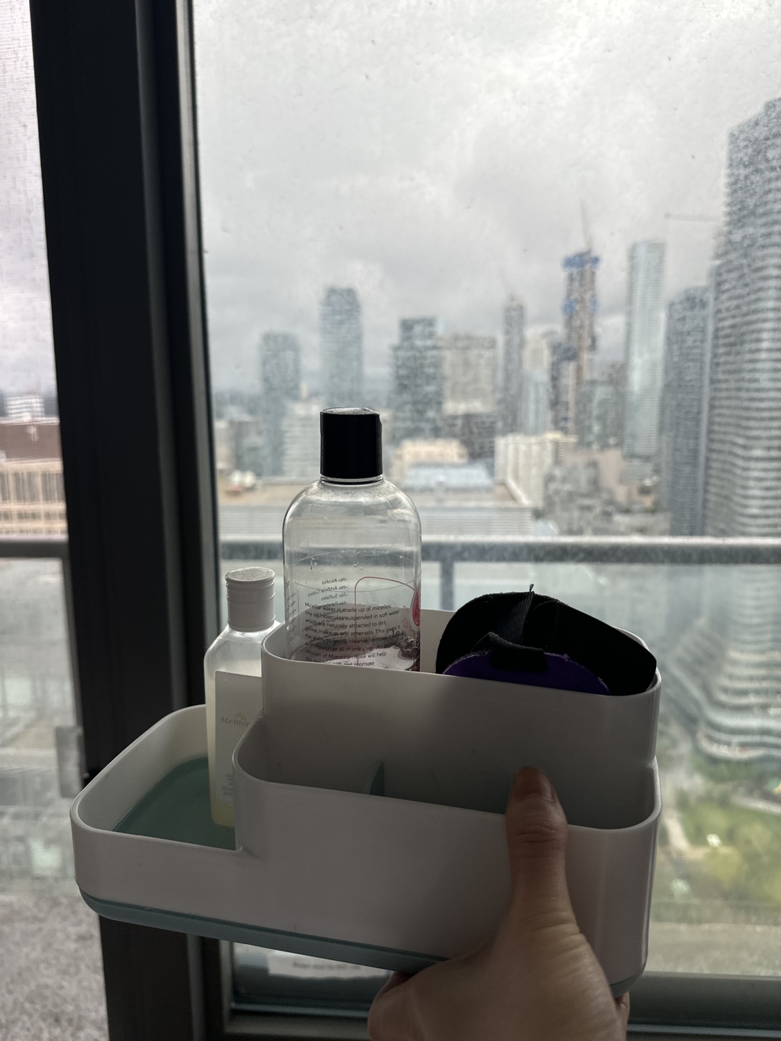 Bathroom Organizer