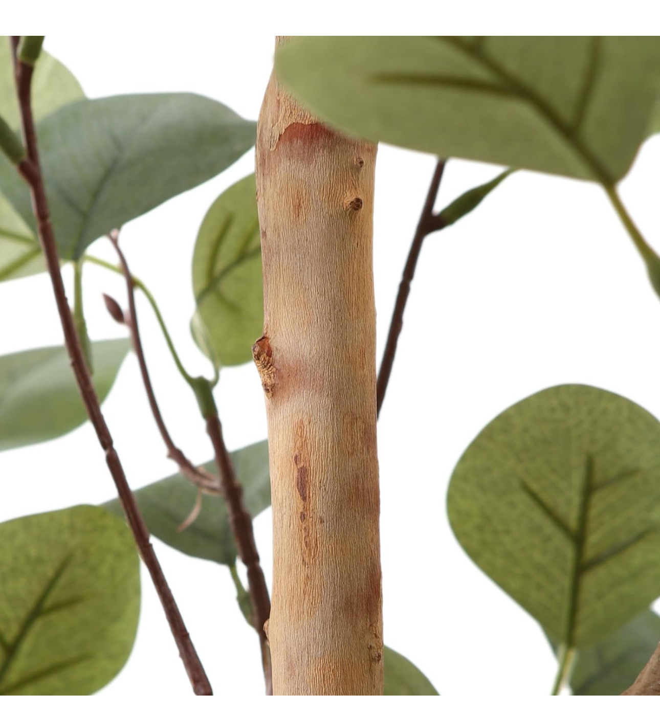 Artificial Eucalyptus Tree - photo 5