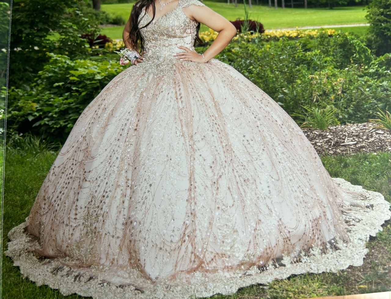 Quinceañera dress