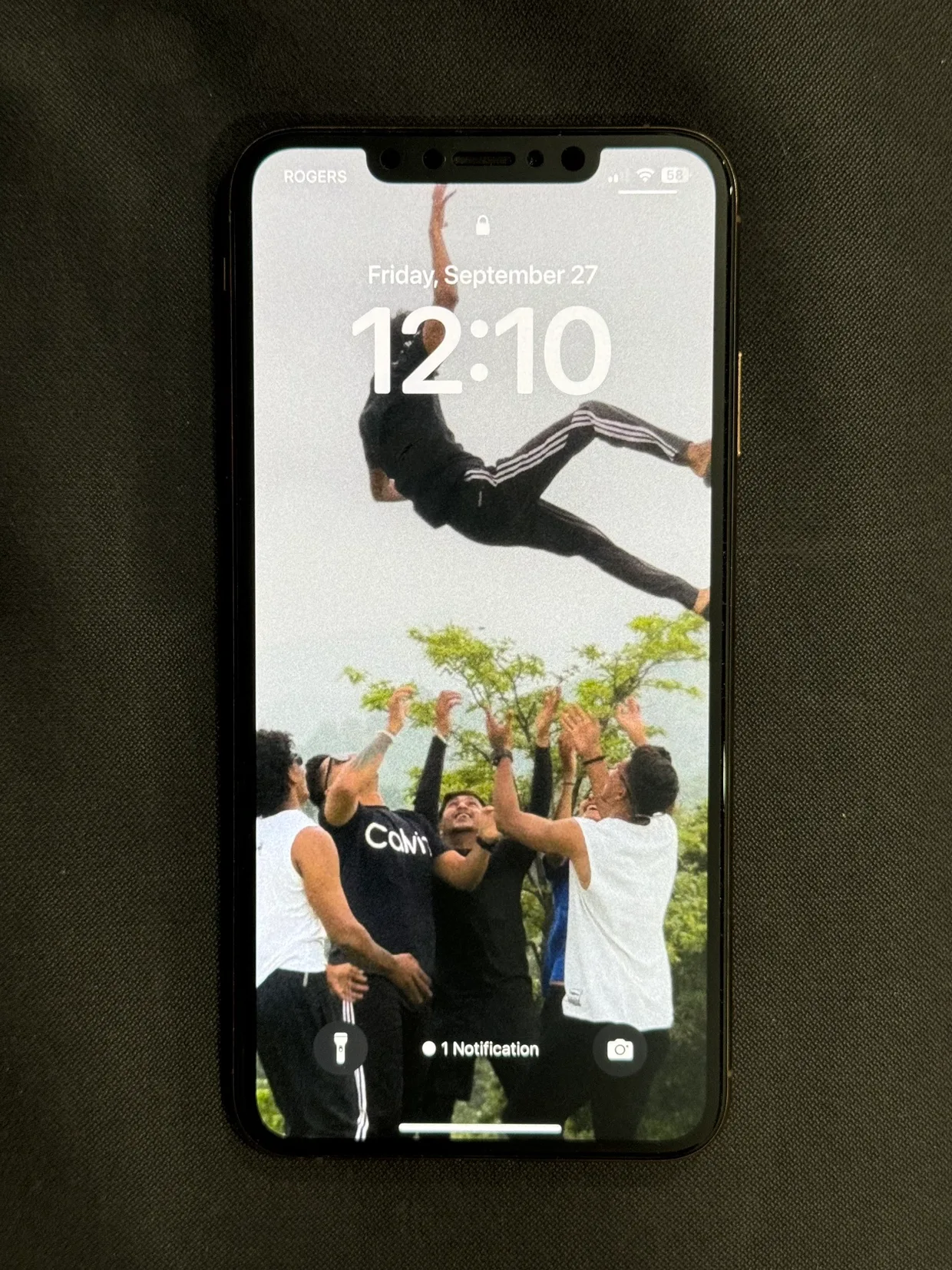 iPhone XS Max Gold 256gb image indicator(4)
