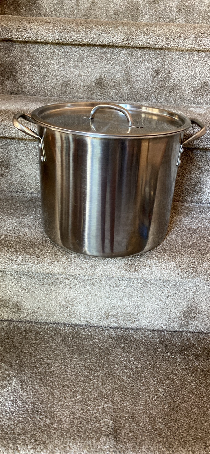 Stainless Steel Stock Pot with Steamer Insert