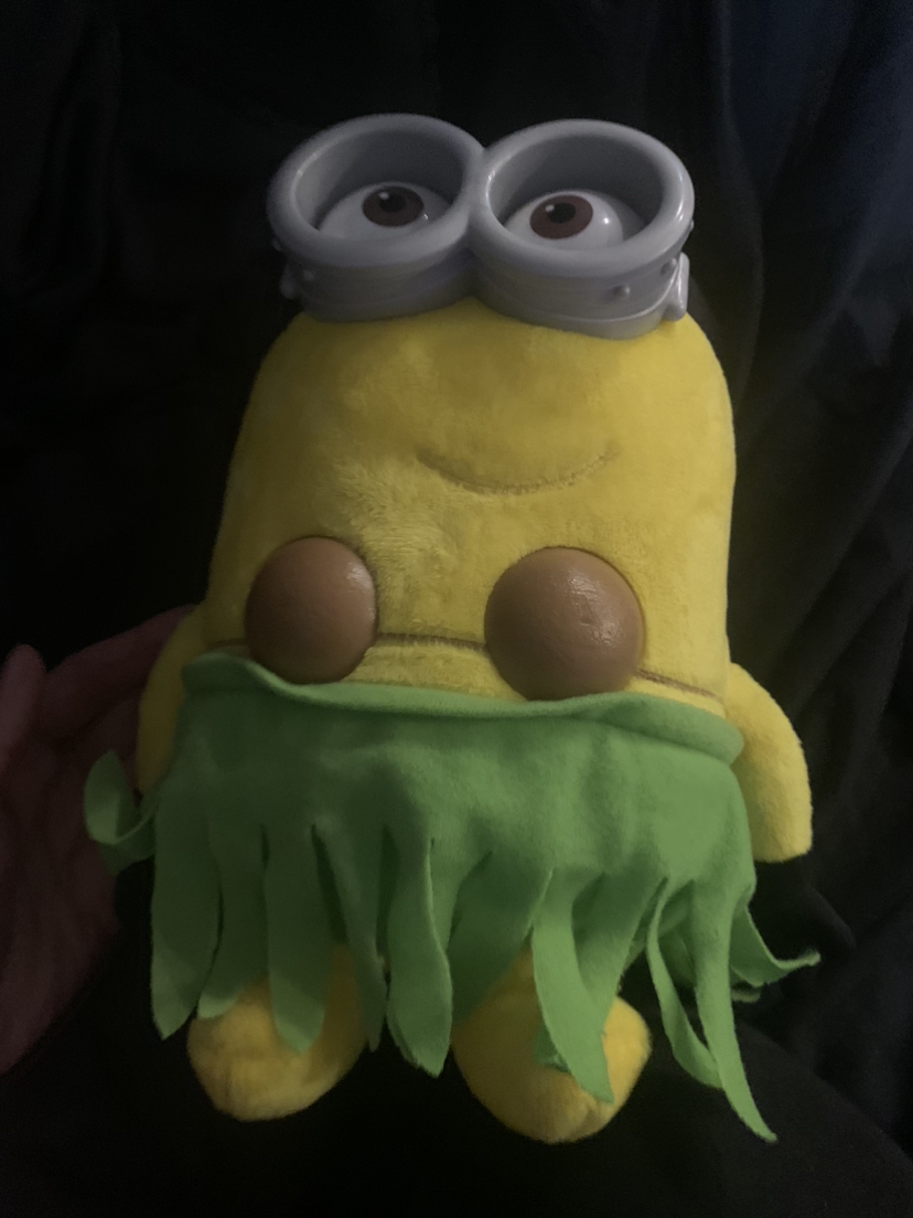 $15 minion talking hula Jerry plush 10” - photo 3