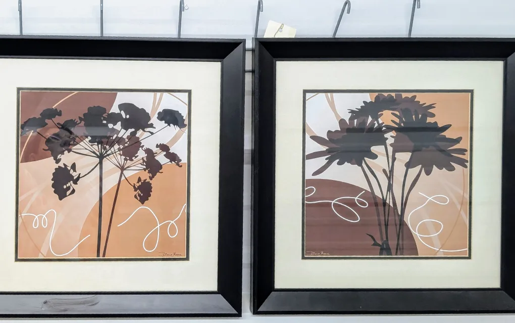 Set of 2 Framed Floral Art Prints image indicator(2)