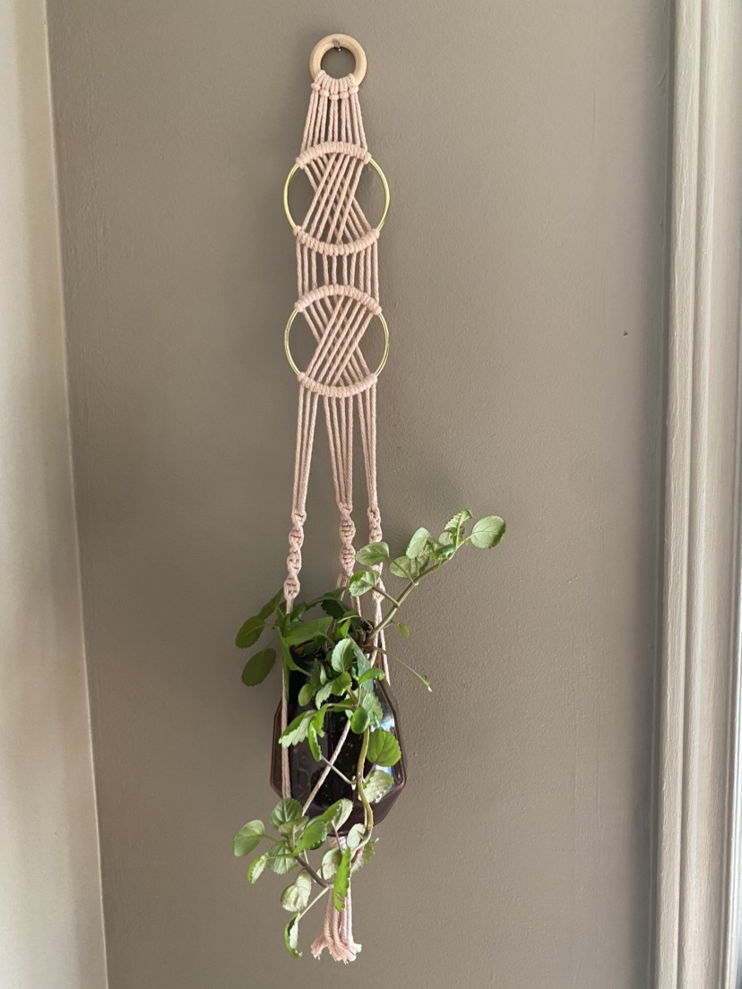 Macrame Plant Hanger