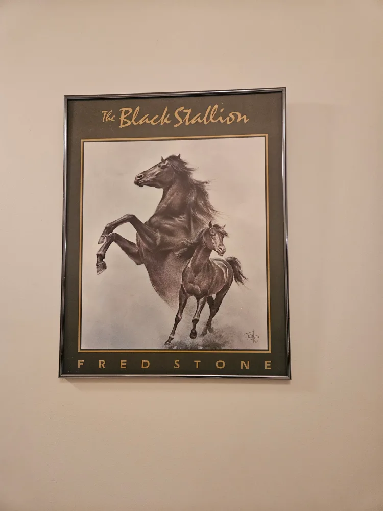 Black stallion fred stone thumbnail