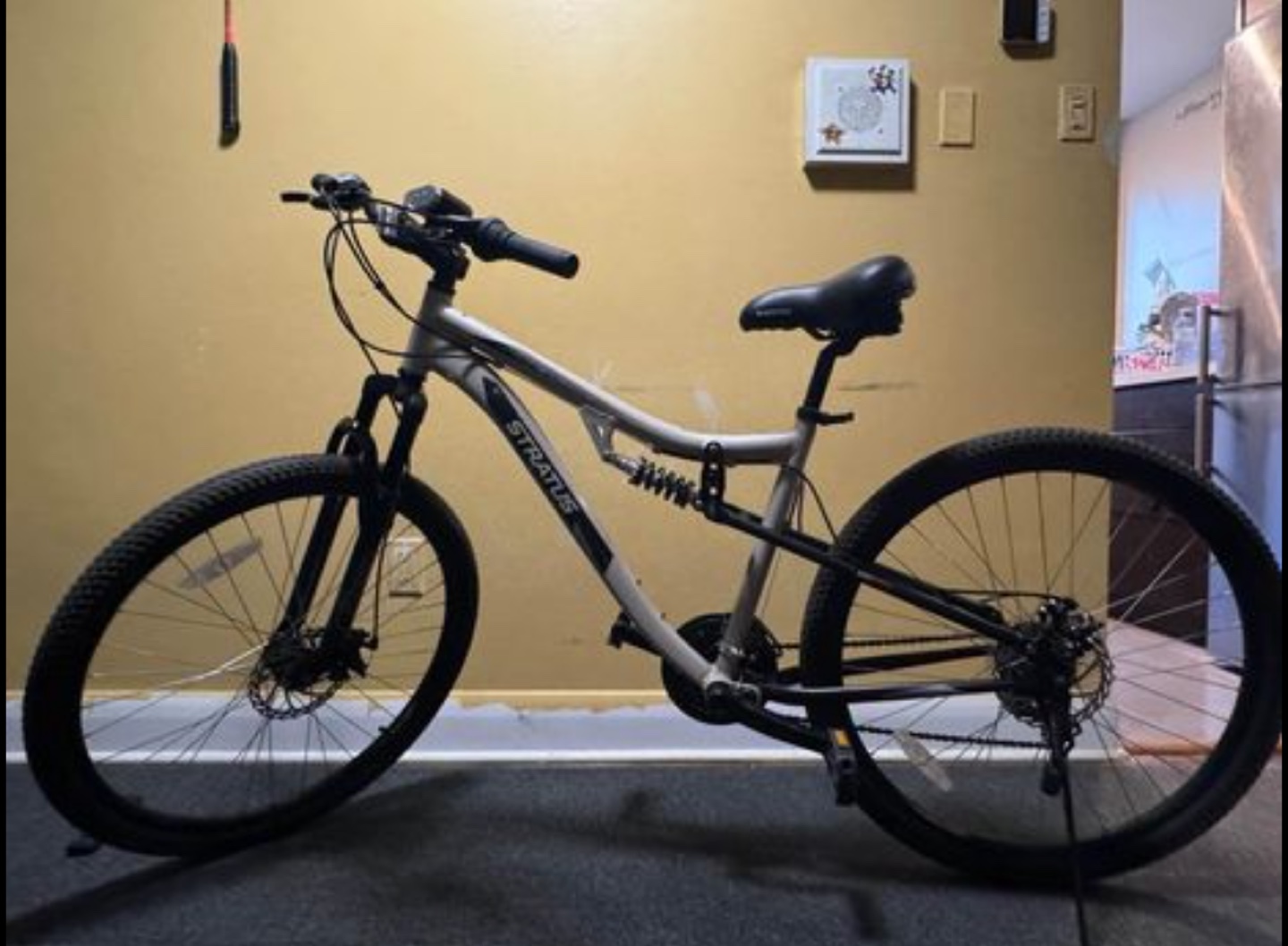 Stratus Mountain Bike