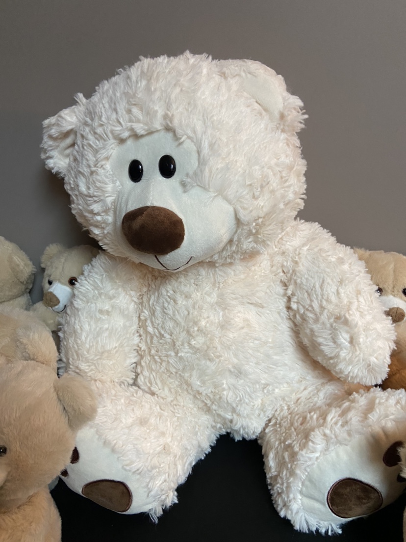 Set of 10 Teddy Bears - photo 2