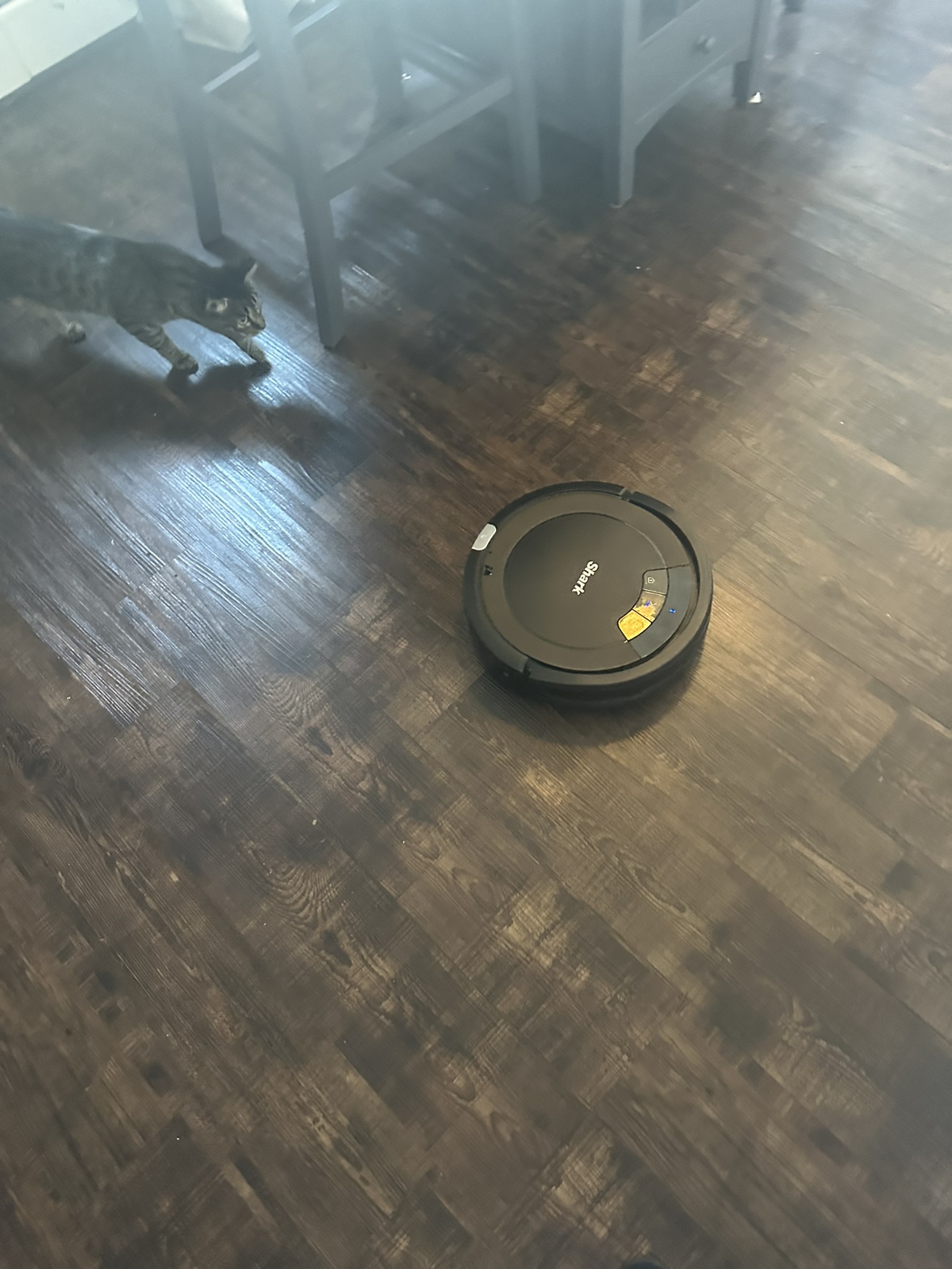 Shark Ion Robot Vacuum - photo 3