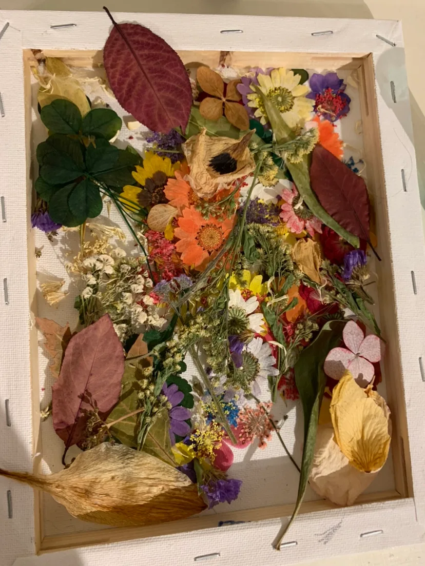 Assorted Pressed Flowers thumbnail