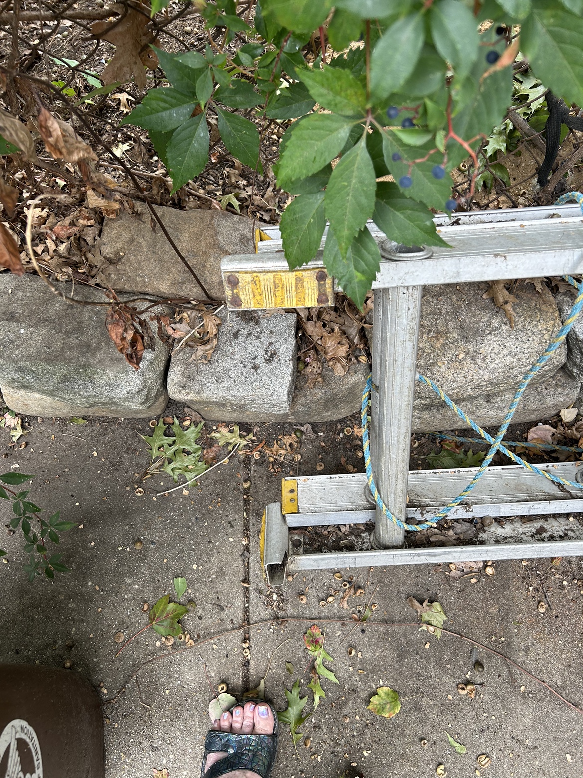 38 ft. Aluminum Extension Ladder - photo 3
