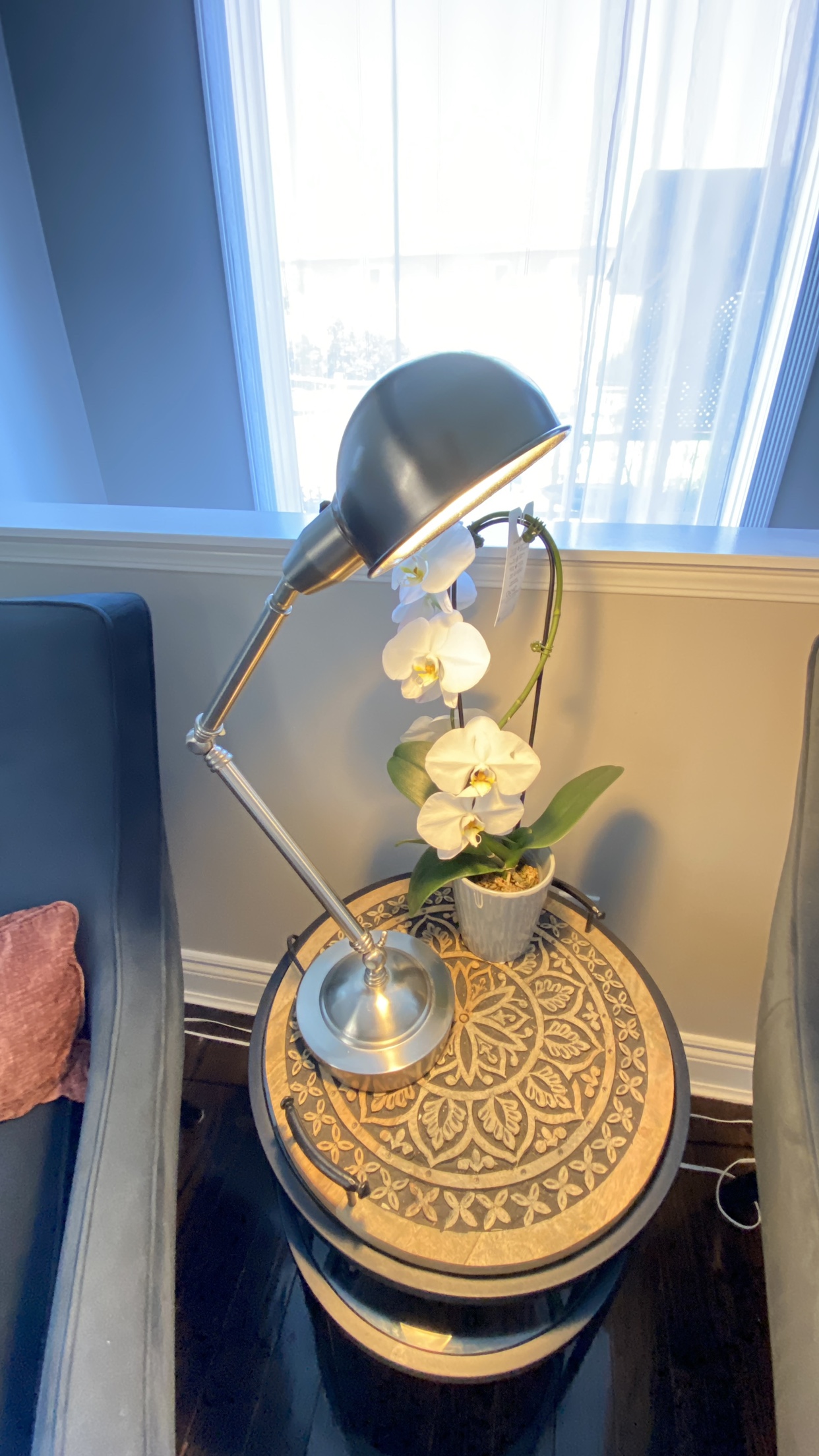 Adjustable Desk Lamp